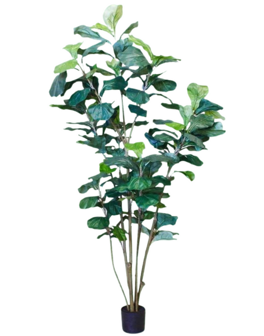 72" Fiddle Leaf Tree (Artifical)